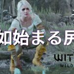 Witycher3 Wild Hunt #5 ～突如始まったシリ編【ゲーム実況】Live