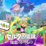 【深夜のゲームライブ】　”ゼルダの伝説　知恵のかりもの”　part１