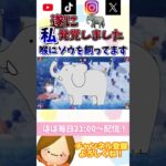 ペンギン好きだから許す！【マリオパーティスーパースターズ】 #ライブ配信 #ゲーム実況  #マリオパーティ  #shorts