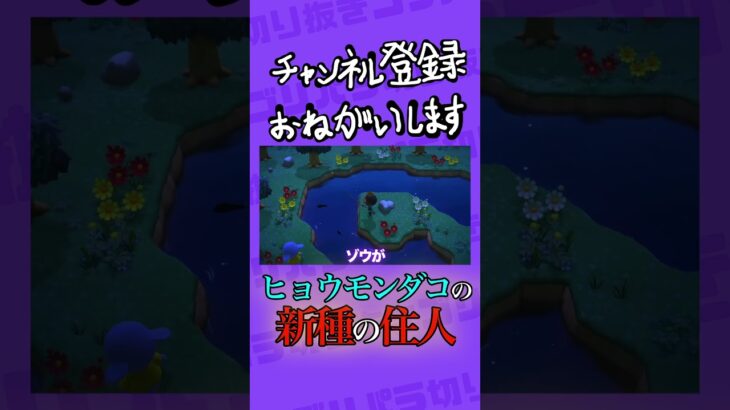 【あつ森】初めての離島 #ゲーム実況 #あつまれどうぶつの森 #shorts #あつ森 #どうぶつの森