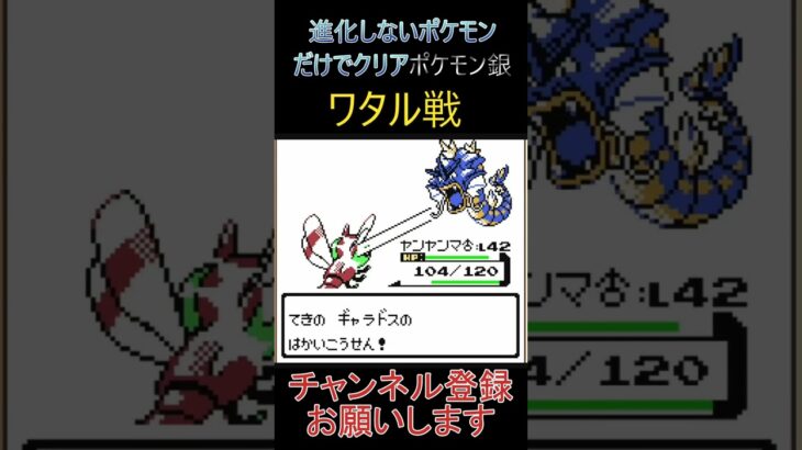 ワタル戦　進化しないポケモンでクリア【ポケモン銀】 #ゲーム実況 #ポケモン実況 #ゲーム