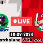 ヤクルトスワローズ vs 広島カープ NPBベースボール 2024 #野球ゲームライブ #ライブスコア Yakult Swallows vs Hiroshima Carp