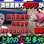 【ストグラ】腹筋崩壊!!ノビーの愛犬セワシが狂暴化で街中大混乱【救急隊物語/赤兎がみとも/赤髪のとも】#106