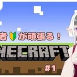 【Minecraft】はじめてのまいくら【ゲーム実況】