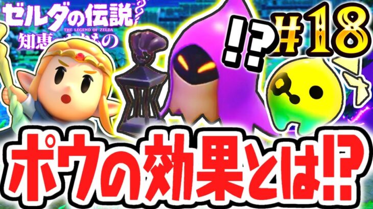 隠されたポウの能力とは!?ゾーラ族とジャブジャブ様の元へ!!最速実況Part18【ゼルダの伝説 知恵のかりもの】