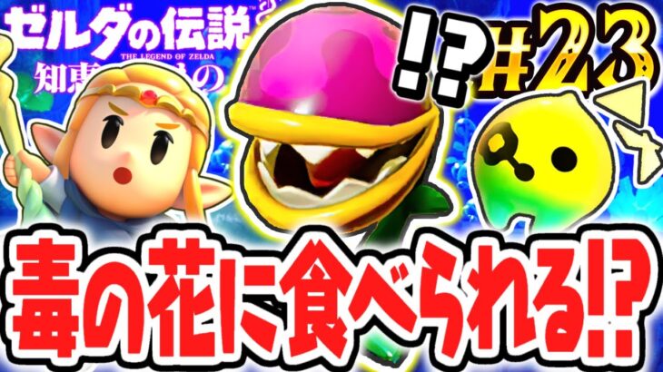 毒の植物バイオデクババに大苦戦しました…ジャブール遺跡のボスを追え!!最速実況Part23【ゼルダの伝説 知恵のかりもの】