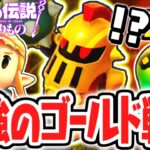 ハイラル城の黄金戦士が強すぎました…最強のアクセサリーもゲット!?最速実況Part28【ゼルダの伝説 知恵のかりもの】