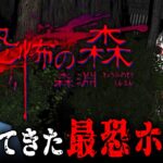 【 恐怖の森 – 森淵 – 】あの伝説の最恐ホラーが帰ってきた！怖すぎる「ヨシエ」がさまよう恐ろしい森からの脱出を目指すホラーゲーム【Vキャシー/Vtuber】実況