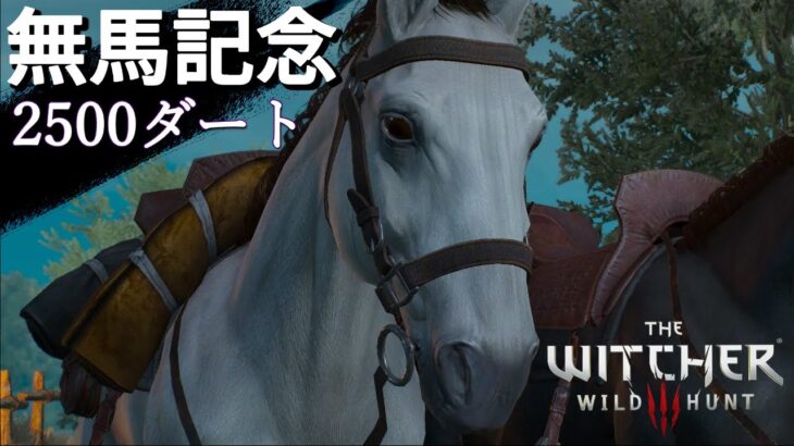 Witycher3 Wild Hunt #11   ～競馬は前回終わりました【ゲーム実況】Live