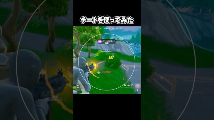 (ネタ)チートを使ってみた #あおけんゲーム実況 #fortnite #フォトナ #フォートナイト #ふぉーとないと #チート