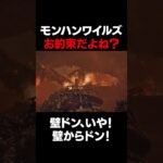 【ワイルズ】お約束だよね？#モンハン #ゲーム実況 #モンスターハンター #ワイルズ