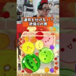 運命を分ける！？欲張りの男　#ゲーム実況 #スイカゲーム