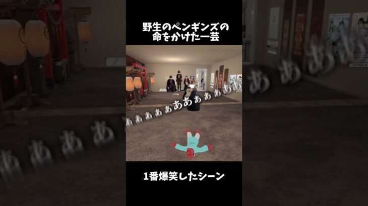 野良のペンギンズ達の渾身の一発ギャグ #ゲーム実況 #vrchatワールド紹介 #ゲーム #vrchat