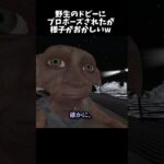 便利な設定しやがってwww #ゲーム実況 #vrchatワールド紹介 #ゲーム #vrchat #ドビー #ハグリッド