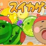 【🔴連続ライブ10日目】今日は何回ダブスイが作れるのか🍉🍉【スイカゲーム】