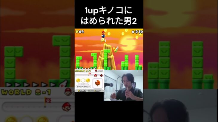 1upキノコにハメられた男２ [割り箸マリオ] #ゲーム実況 #配信 #マリオ #short