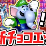 幻のシークレットが出現!!まさかのゾウルイージなの!?スーパーマリオブラザーズワンダー編Part4【チョコエッグ】