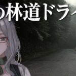 エンジン音を聞きながらぐっすり寝られるドライブ配信【 SNOW RUNNER スノーランナー VTuber 河崎翆 ゲーム実況 】