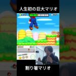 人生初の巨大マリオ [割り箸マリオ] #ゲーム実況 #配信 #マリオ #shorts