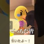 運命の選択　#あつまれどうぶつの森 #あつ森 #ゲーム実況