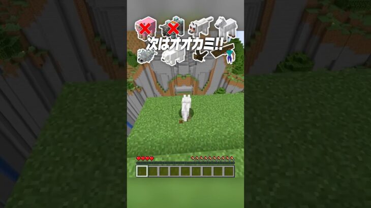 崖の高さ vs マイクラのモブ🔥【まいくら・マインクラフト】#shorts #らた #minecraft #ゲーム実況 #まいくら #マイクラ