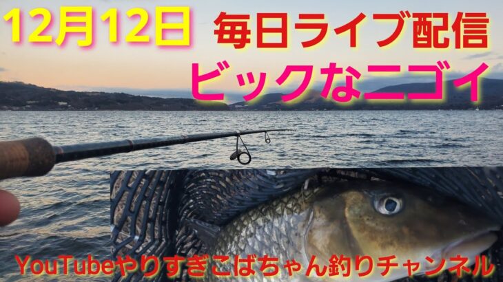 12月12日毎日ライブ配信～‼️山中湖でズル引きゲーム