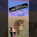 【Fortnite】 🐹 #fortnite #フォートナイト #フォトナ #ライブ配信 #カスタムマッチ #ゲーム実況 #ママ界隈 #memecut #shorts