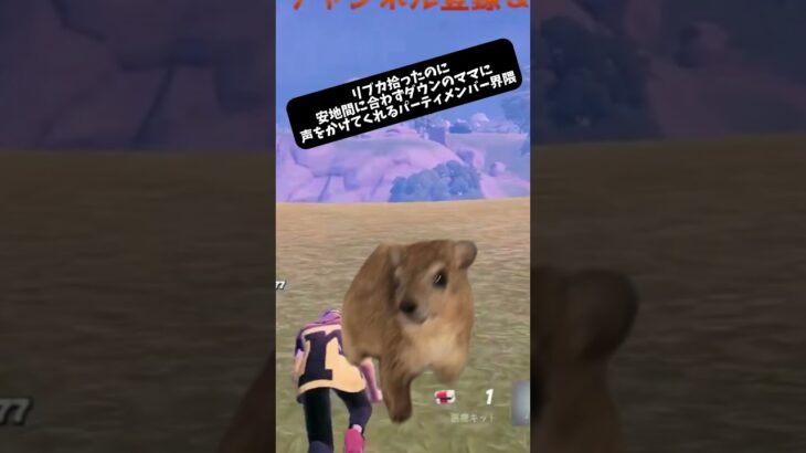 【Fortnite】 🐹 #fortnite #フォートナイト #フォトナ #ライブ配信 #カスタムマッチ #ゲーム実況 #ママ界隈 #memecut #shorts