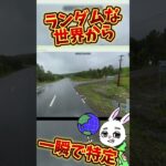 【GeoGuessr】ガチ勢が凄すぎる #ゲーム実況 #世界地図 #世界巡り #ゲーム #ゲーム