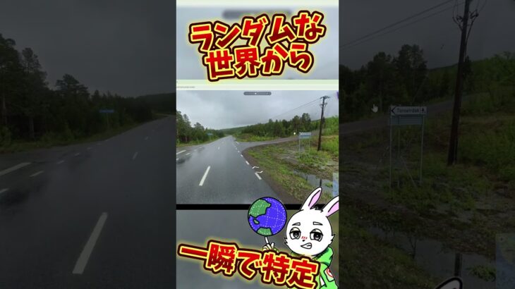 【GeoGuessr】ガチ勢が凄すぎる #ゲーム実況 #世界地図 #世界巡り #ゲーム #ゲーム