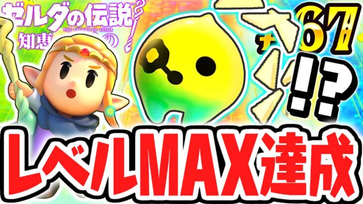 トリィ君のMAXレベルを達成すると何が起こるの!?最後の能力が解放!!最速実況Part67【ゼルダの伝説 知恵のかりもの】