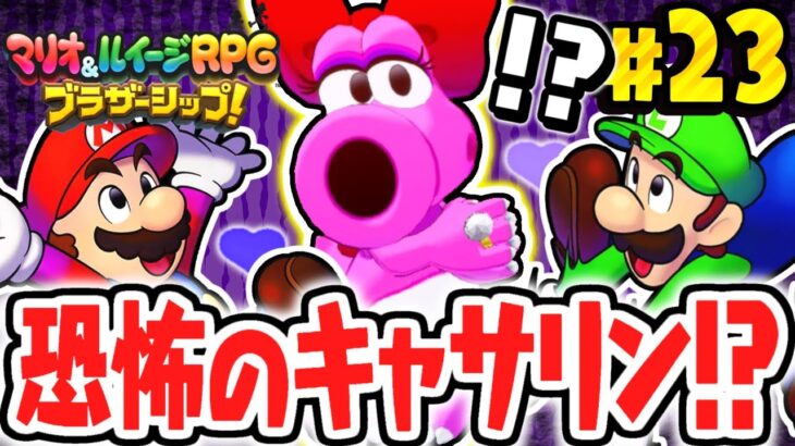 新たな島でキャサリン登場!?ピーチ姫を探して迷路を攻略!!マリルイ最速実況Part23【マリオ＆ルイージRPG ブラザーシップ！】