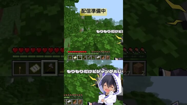 YouTubeライブ配信準備中#Minecraft#ゲーム配信