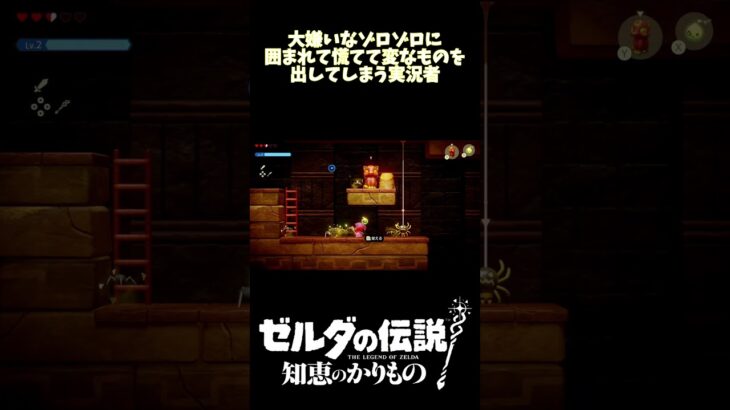 【ゼルダの伝説 知恵のかりもの】落ち着け！私！ #ゲーム実況  #ゼルダの伝説 #知恵のかりもの #知恵かり#shorts