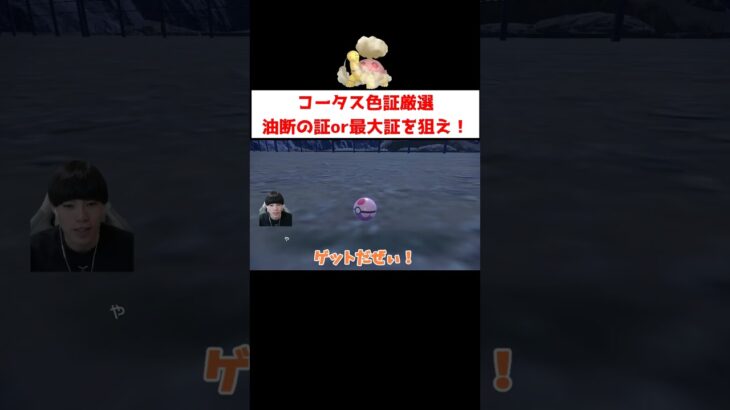 コータス色証厳選 #ゲーム実況 #shorts #ポケモン #ポケモンSV #ウパー