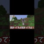 本編も見てね！#マイクラ #マインクラフト #ゲーム実況 #動画切り抜き #shorts #short