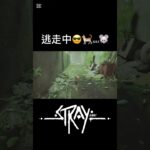 今回もなんとか逃げきれた…。#stray #ストレイ #ゲーム実況 #猫 #アクション #任天堂 #任天堂switch #shots #逃走中