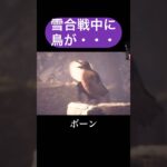 鳥が悪いよね #配信切り抜き #ホラゲー #ゲーム実況