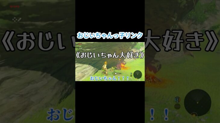 おじいちゃんっ子なリンクはこんな感じ…？？？#ゲーム実況 #ゼルダの伝説 #ブレワイ