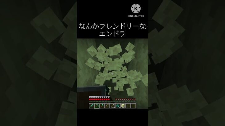 なんかフレンドリーなエンドラ　 #マインクラフト #まいんくらふと #マイクラ #ゲーム実況 #まいくら #おすすめにのりたい