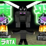 【マイクラ】エンドラRTA色んなツール触る【まぐにぃ】