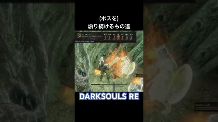 苗床とて油断は禁物 #darksouls #ゲーム実況 #ダークソウル