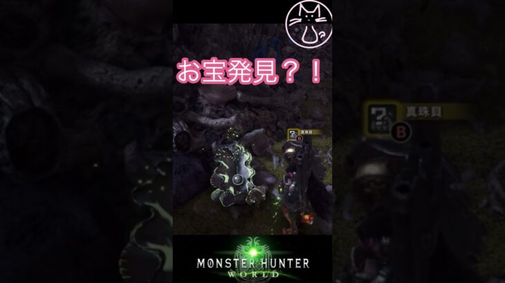 キラキラはわくわく #ゲーム実況 #mhw #mhwib #モンハンワールドアイスボーン #モンハンワールド #モンハンワールド初見プレー #陸珊瑚