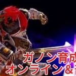 【スマブラ sp】ガノン育成　縦型 #スマブラ　#スマブラsp　＃ゲーム実況　＃shorts