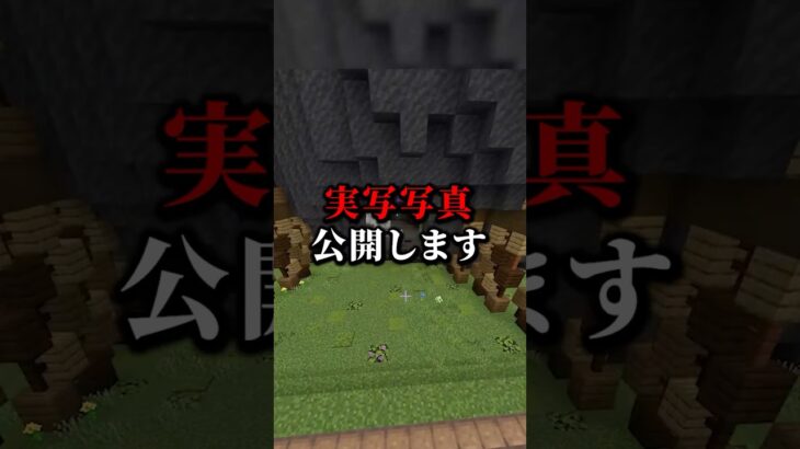 ゲーム実況者が実写の写真公開してみた結果ｗｗｗ【まいくら・マインクラフト】