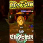 いい話だったのにwww ティアキン衝撃映像〘140〙 #botw  #ゼルダの伝説 #ティアキン #ゲーム実況   #zelda #ゲーム #実況 #衝撃映像  #games