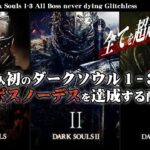 日本人で初めてダークソウル123バグなし全ボスノーデスを達成するJapan’s first Dark Souls 1-3 All Boss never dying Glitchless