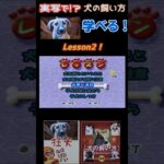 犬の飼い方をゲームで学べる！Lesson② #ライブ配信 #ゲーム実況 #ゲーム #犬　#プレイステーション　#shorts #short #ペット　#ペット動画 　#シンプル　#教育