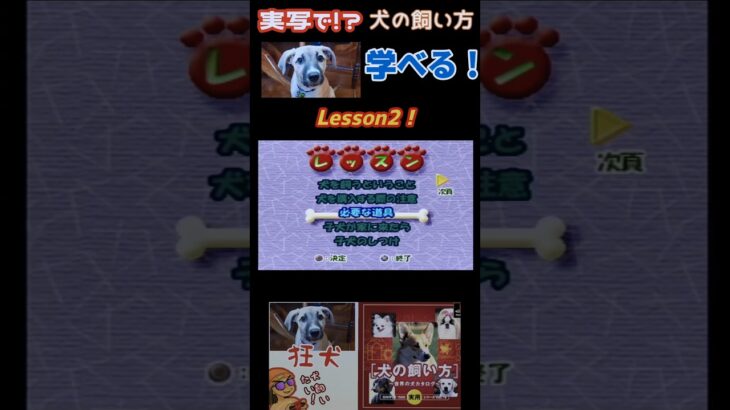 犬の飼い方をゲームで学べる！Lesson② #ライブ配信 #ゲーム実況 #ゲーム #犬　#プレイステーション　#shorts #short #ペット　#ペット動画 　#シンプル　#教育