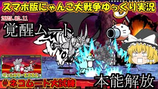 [真伝説になるにゃんこ]覚醒ムート本能解放！ヴァルキリーも解放したよ[にゃんこ大戦争ゆっくり実況]＃ネコムート大試練